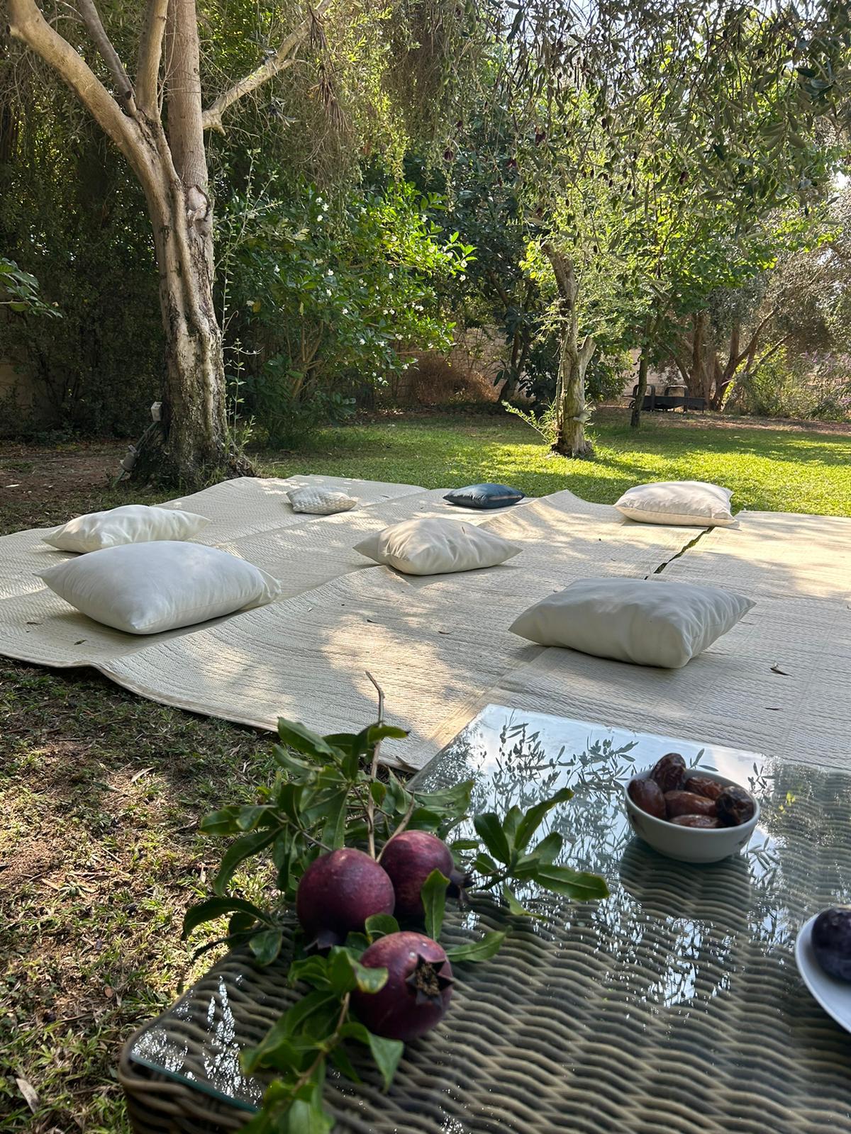 סדנת נשימה ואמבטיות קרח
